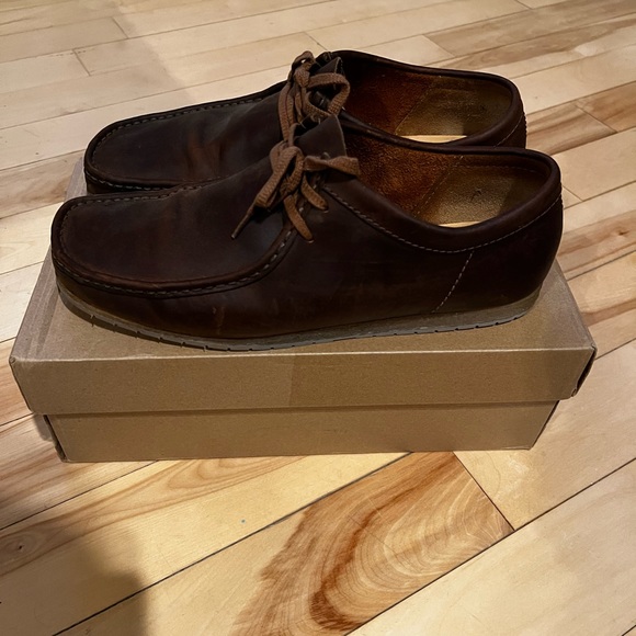 Clark’s wallabies - Picture 4 of 5